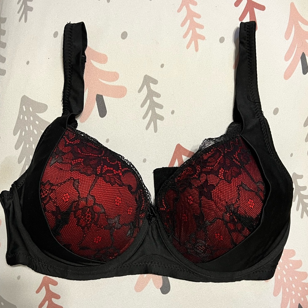 Elegant Black and Red Lace Bra